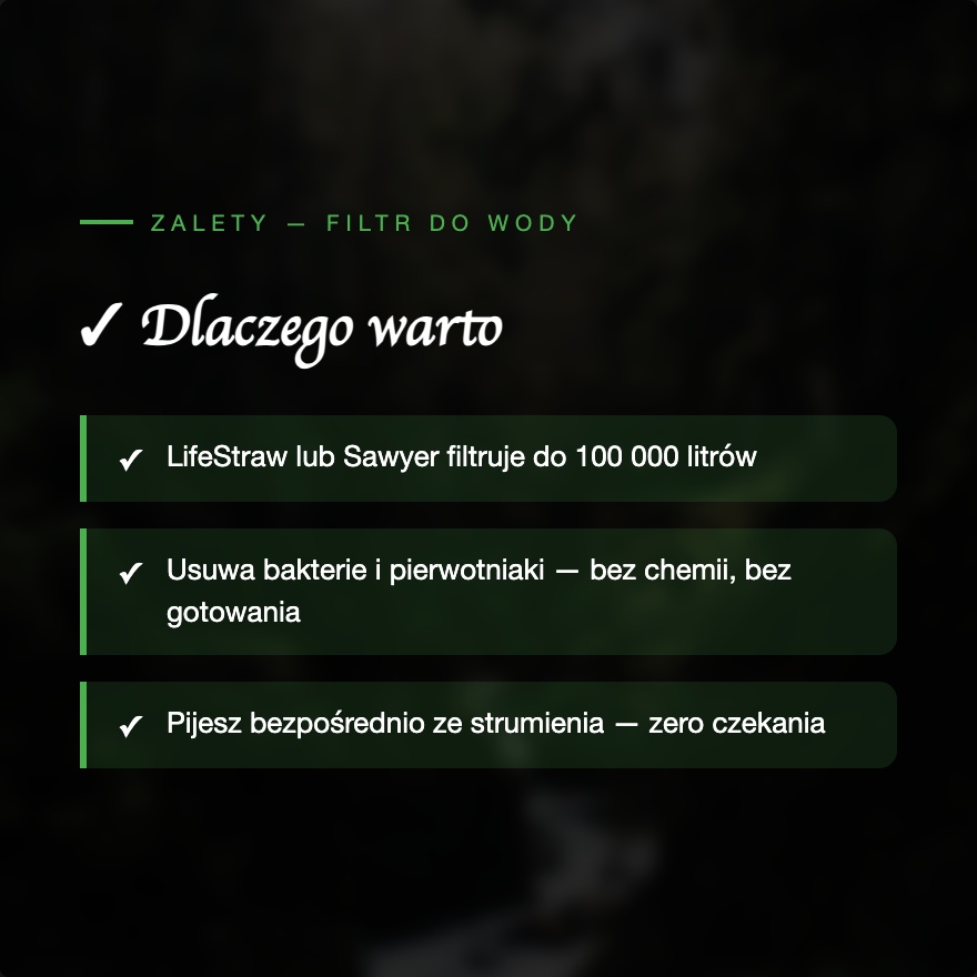 Slide 12